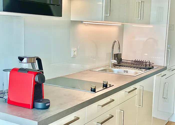 Steiner Residences Apartment Modling