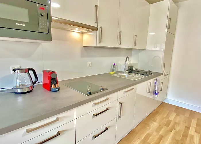 Steiner Residences Apartment Modling